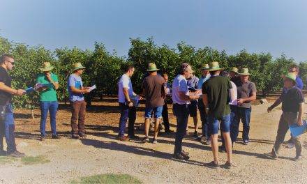 Bayer reúne a más de 40 técnicos para ver el efecto de Movento Gold en caquis