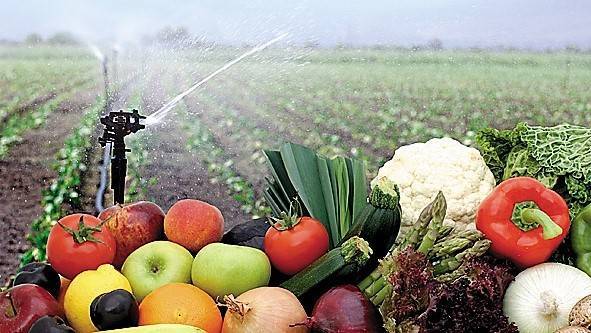 Los beneficios de la aplicación de peróxidos y/o peroxiacéticos