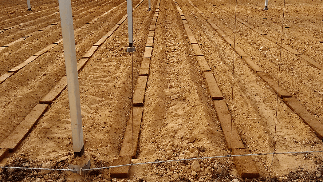 Sistema Mixto, el gran aliado del agricultor frente a los suelos difíciles