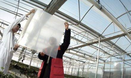 Repsol mejor productor europeo de polipropileno 2018