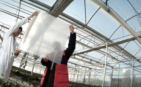 Repsol mejor productor europeo de polipropileno 2018