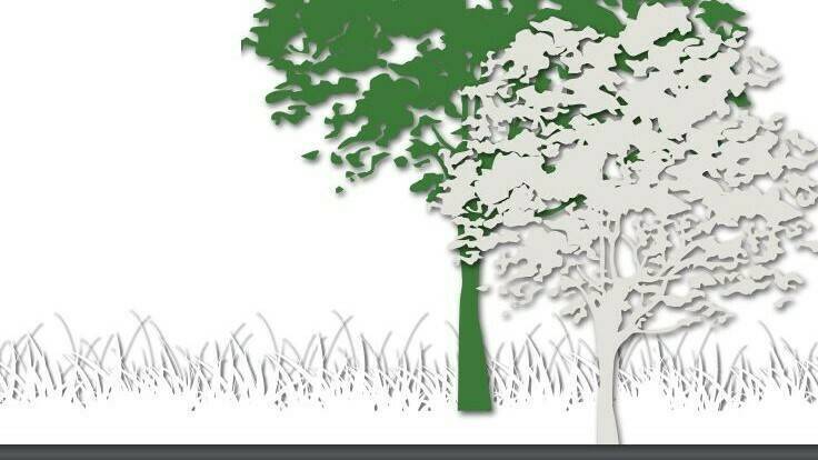 NEIKER y Tecnalia presentan soluciones inspiradas en la naturaleza para afrontar el cambio climático en el ámbito urbano