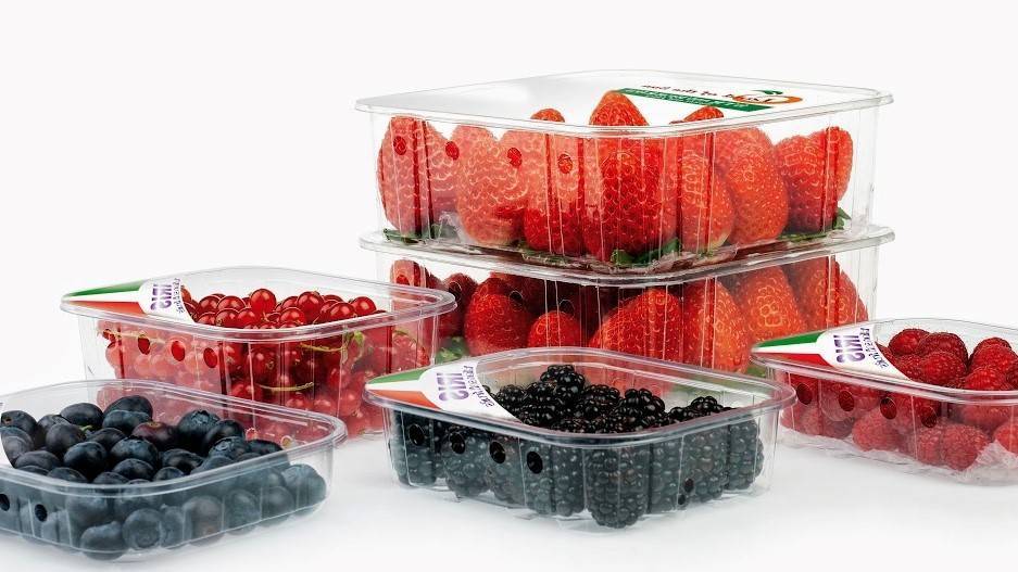 Microperforaciones y temperatura de 4°C, amplia la vida de las fresas 5 días