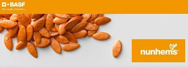 BASF compra los negocios de semillas hortícolas de Bayer