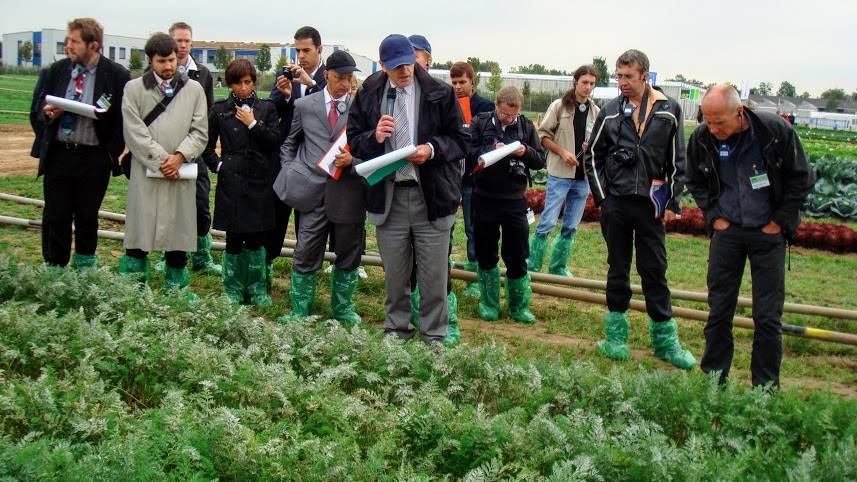 El futuro de la alimentación y la agricultura en la UE después 2020 ( II )