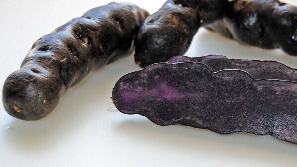 Pigmentos naturales a partir de la patata y la batata para uso en la industria alimentaria