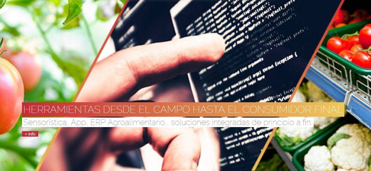 Digitalizar al sector hortofrutícola español
