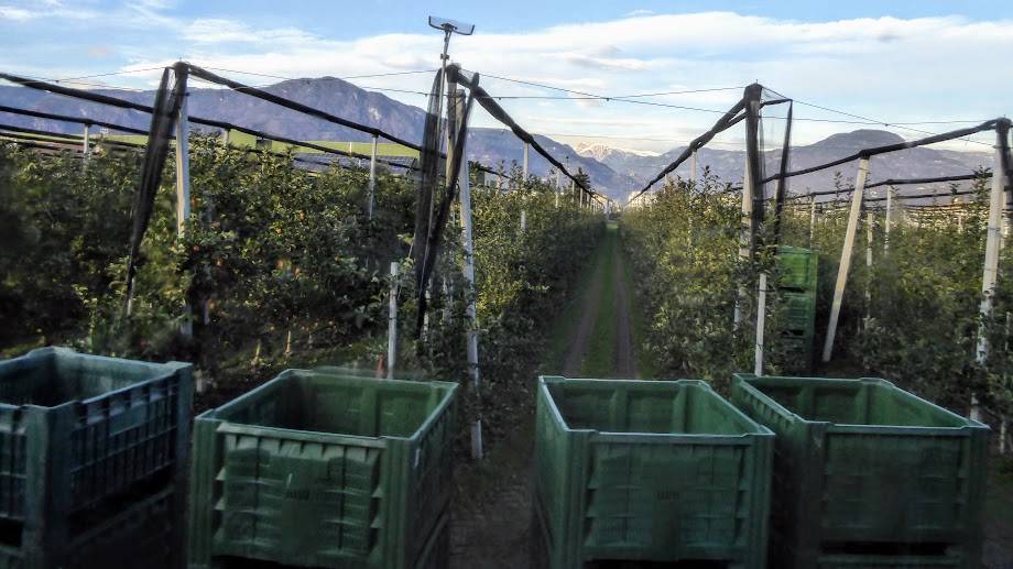 Mallas y la horticultura intensiva actual