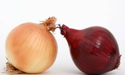 Selección de cebollas y otras frutas y hortalizas redondas