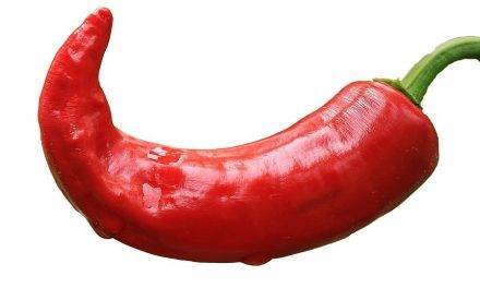 El ozono reduce la pérdida de calidad durante el almacenamiento de pimiento picante rojo y verde