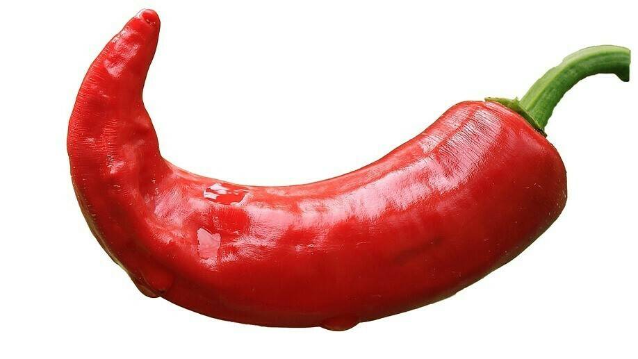 El ozono reduce la pérdida de calidad durante el almacenamiento de pimiento picante rojo y verde