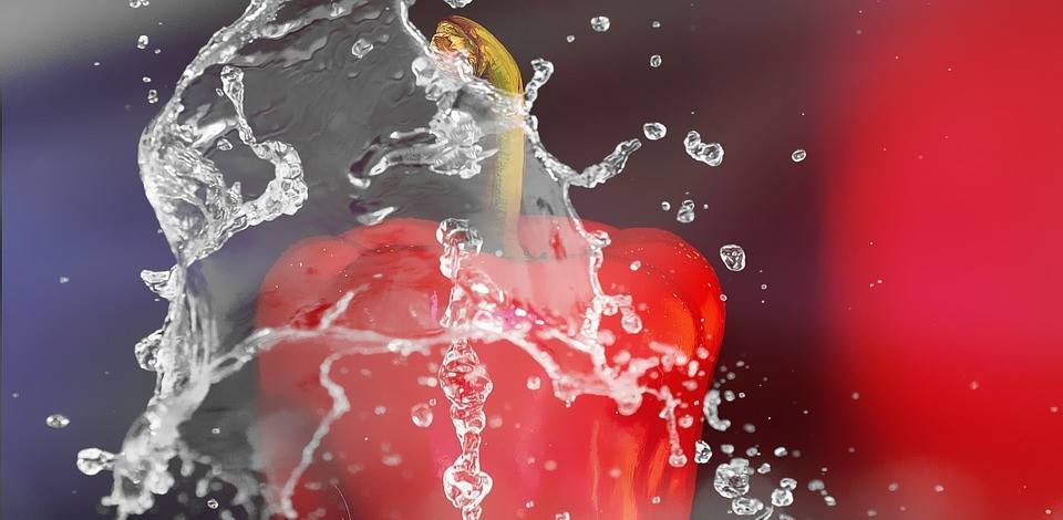 Podredumbre en pimiento: tener en cuenta la calidad sanitaria del agua de lavado