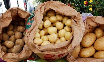 Soluciones Ulma Packaging para el sector de la patata