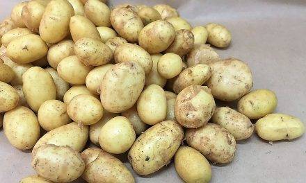 Pesadora estática PEG-12/160