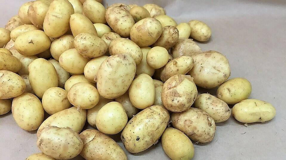 Pesadora estática PEG-12/160