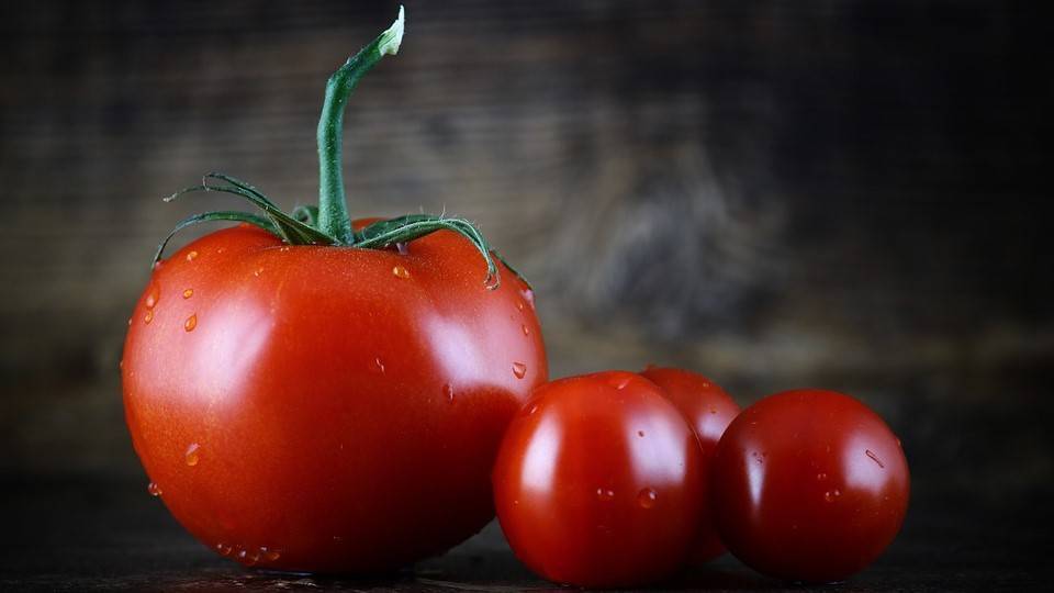 Citrocide® Plus T, lavado y más seguridad sin podridos