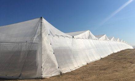 Net-House de Arrigoni para proteger el invernadero de insectos