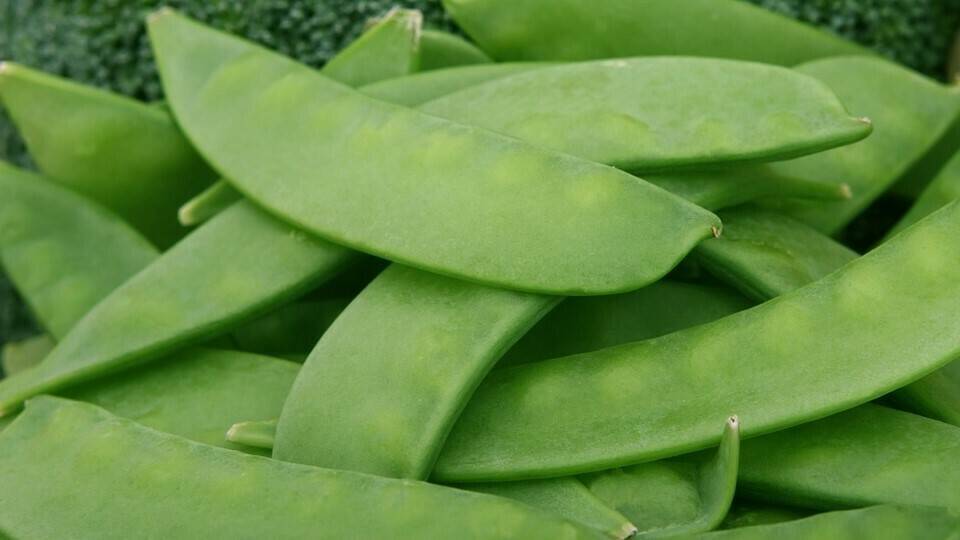 Nueva solución de protección de cultivos para el control de nematodos