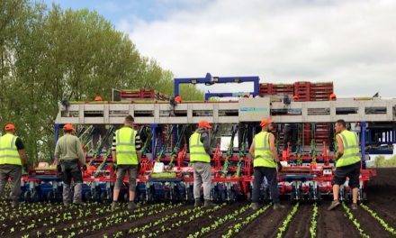 BrimaPack presenta una generación en equipos de trasplante