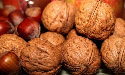 Actualidad en los frutos secos en España