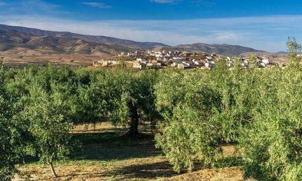 Encuentro Internacional Phytoma Xylella fastidiosa
