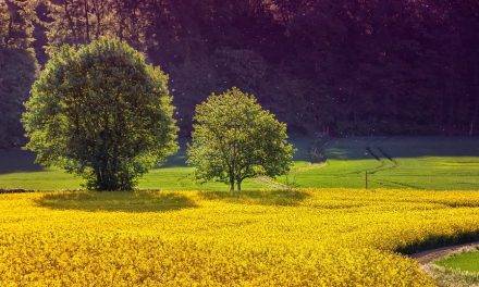SAPEC AGRO presenta un nuevo posicionamiento con una renovación de marca
