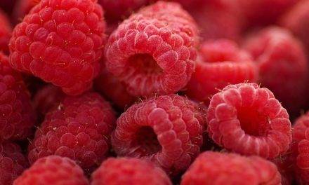 Tratamiento hidrotérmico para controlar la Botrytis cinerea en frambuesa