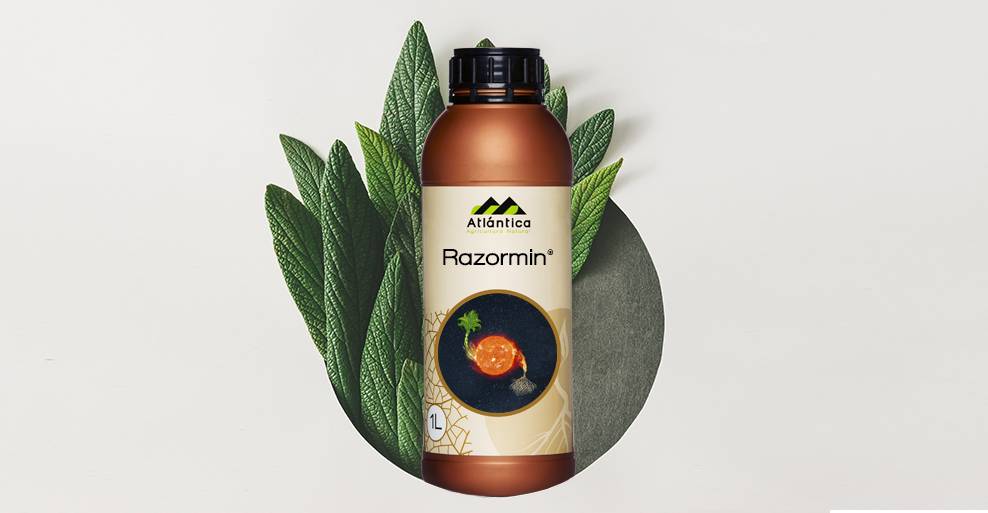 Razormin, un bioestimulante para hortalizas