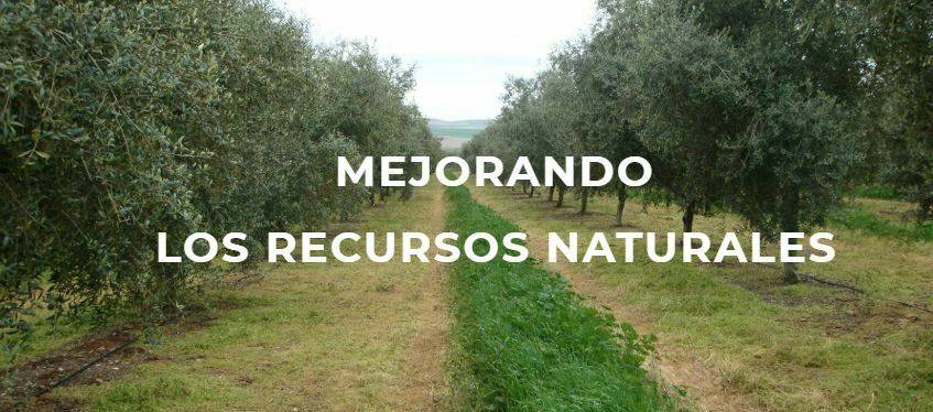 Agricultura de conservación y pérdidas de suelo fértil