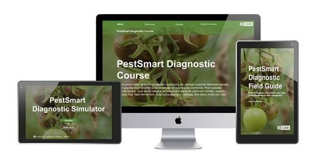 PestSmart, para diagnosticar plagas y enfermedades