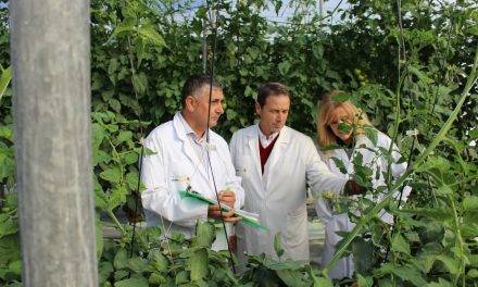 Premios de la Cátedra Cajamar-UPM