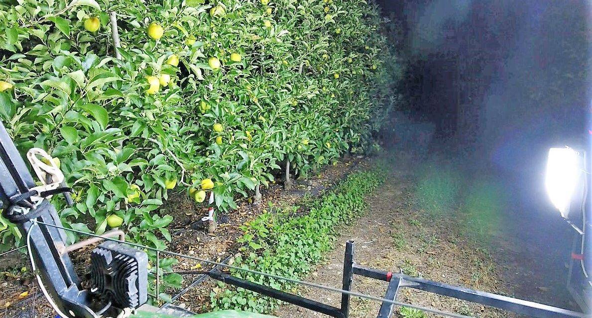 Agerpix estima automáticamente la producción en plantaciones frutales