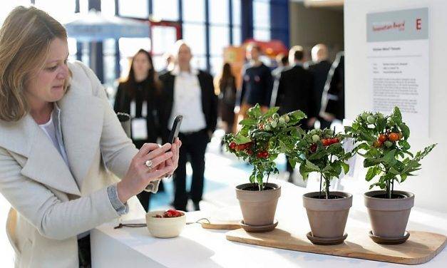 Los 10 nominados para los Premios a la Innovación en la Fruitlogística 2019