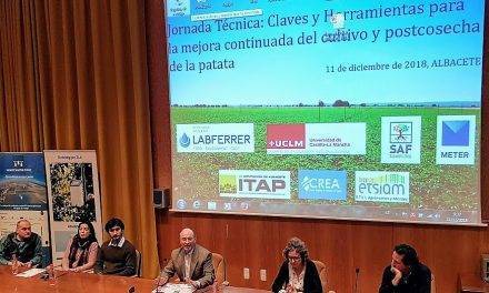 Información de primera mano sobre los problemas de campo en la patata ligados al riego, suelos y clima