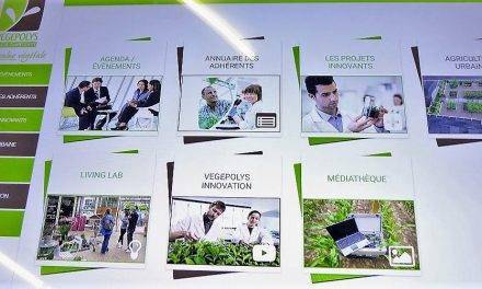 SIVAL: la feria del vegetal