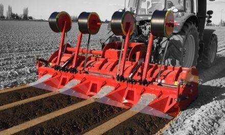 La producción de patata en Italia también experimenta la competencia de Francia