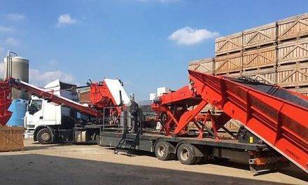 Corte de patatas para siembra a domicilio