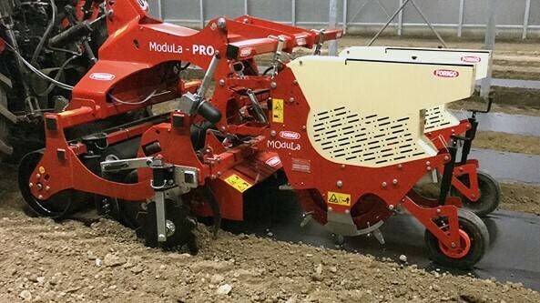 La siembra de precisión con acolchado plástico es ya una realidad