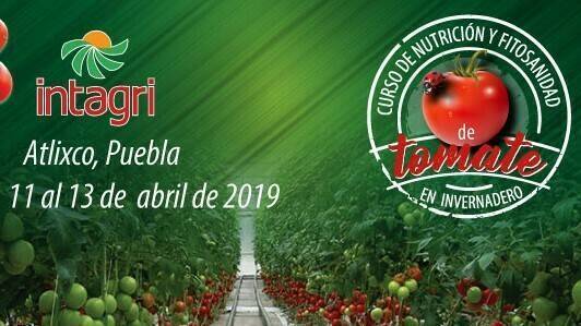 Curso de nutrición y fitosanidad de tomate en invernadero en México