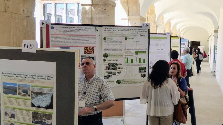 XVI Congreso Nacional de la SECH que se celebrará en Córdoba los días 25 al 30 de octubre de 2020