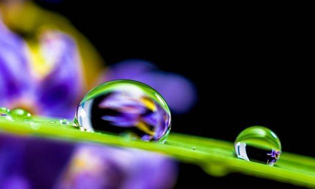 El agua precisa una gestión sostenible