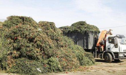 Ya se sabe cómo convertir residuos de paja de trigo en sustancias químicas ecológicas