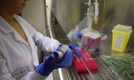 Desarrollado el test genético para la detección de la bacteria Xylella fastidiosa