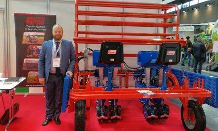 Soluciones para el trasplante y cuidado del plantel en el terreno de cultivo