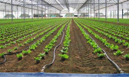 Jornada técnica sobre proyectos internacionales de mejora de la gestión del riego