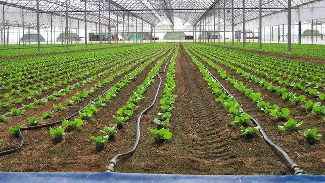 Jornada técnica sobre proyectos internacionales de mejora de la gestión del riego