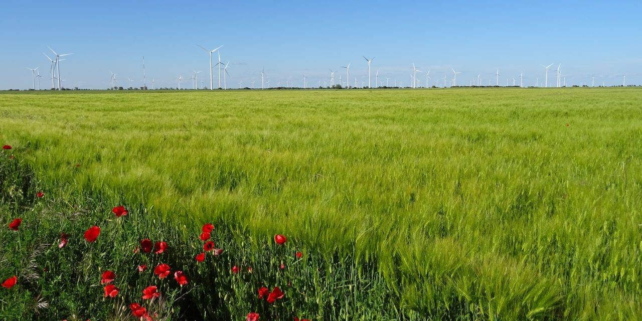 La Agricultura de Conservación frena la degradación de suelos por la erosión hasta en un 90%