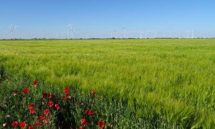 La Agricultura de Conservación frena la degradación de suelos por la erosión hasta en un 90%