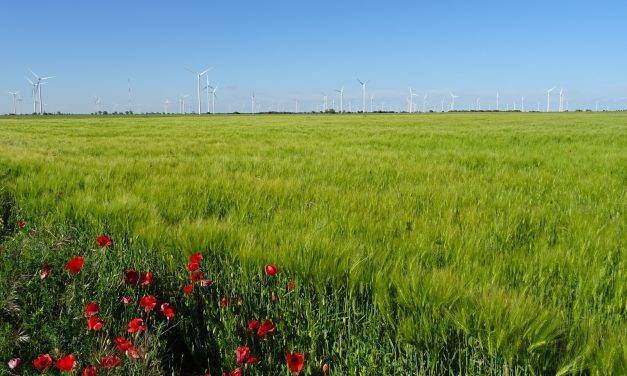 La Agricultura de Conservación frena la degradación de suelos por la erosión hasta en un 90%
