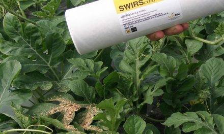 Estrategias de control biológico de plagas dirigido a cucurbitáceas